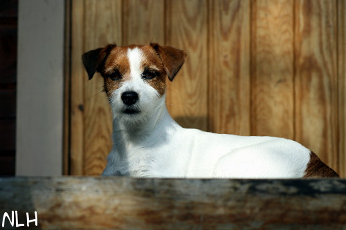 100719 inka7.jpg - Lady of the house